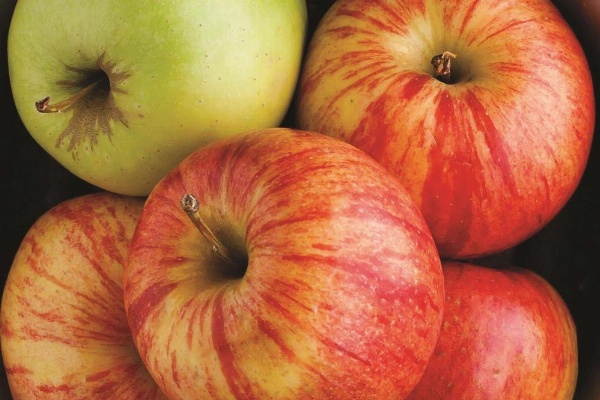 La Quinta Inn & Suites by Wyndham Hayward Oakland Airport image 27